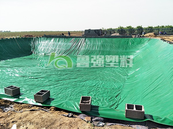 養(yǎng)魚池